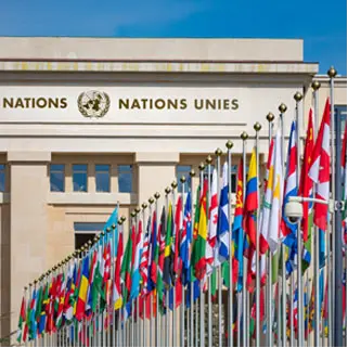 協調的安全保障、軍備管理と軍縮